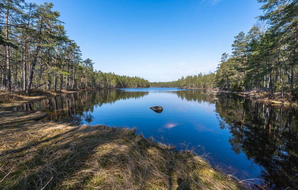 Nuuksio järvimaisema