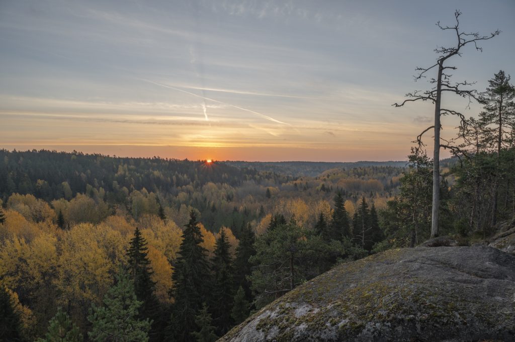 Nuuksio aamulla