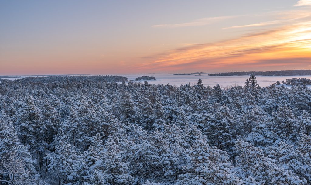 Lumen peittämän metsä ylhäältä